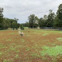 Turkey Hill Park ico