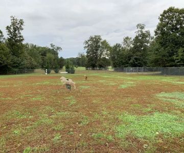 Turkey Hill Park