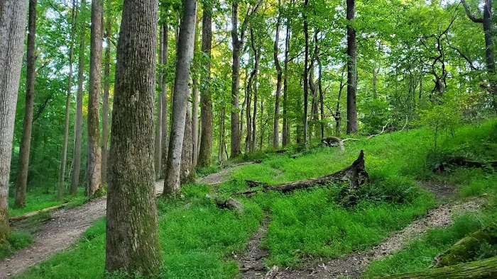 Turkey Hill Park 2