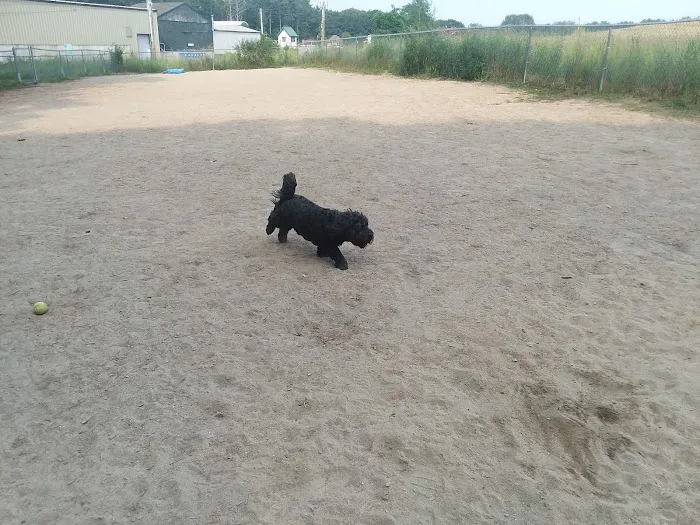 Kennebunk Dog Park 9