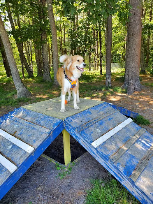 Kennebunk Dog Park 2