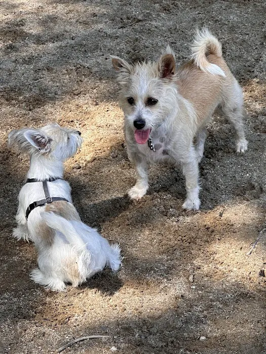 Kennebunk Dog Park 8