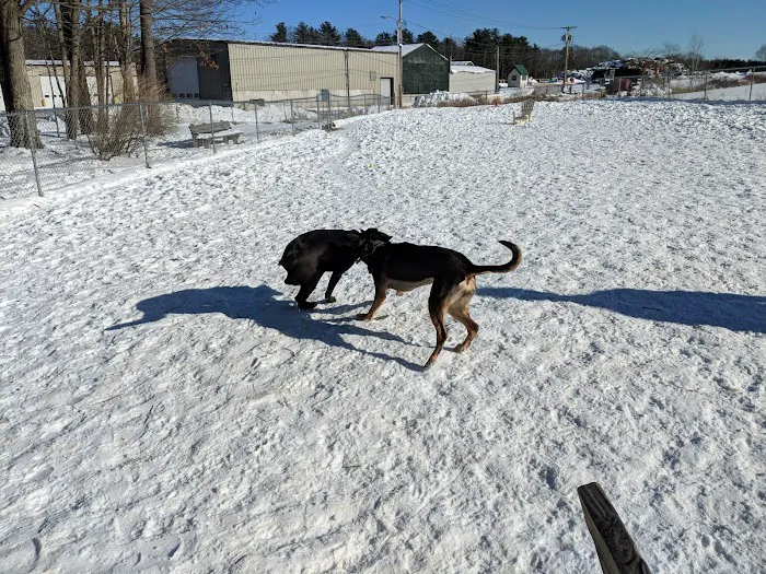 Kennebunk Dog Park 6