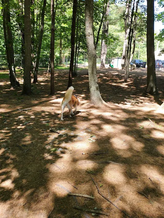 Kennebunk Dog Park 4