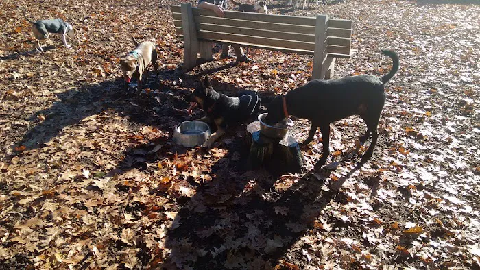 Kennebunk Dog Park 3