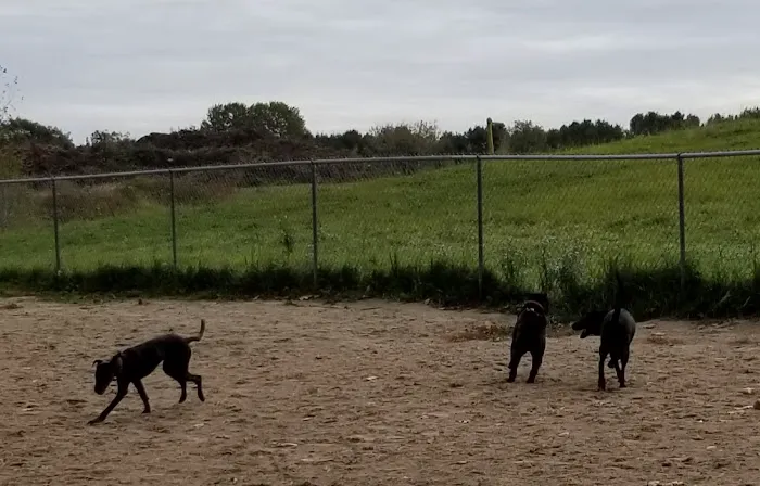 Kennebunk Dog Park 1