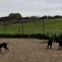 Kennebunk Dog Park ico