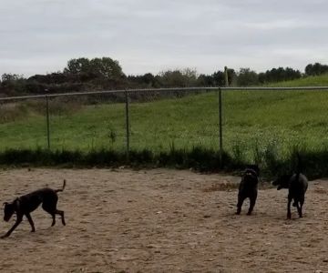 Kennebunk Dog Park