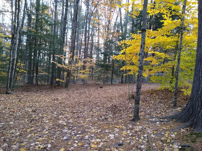 Waterboro Dog Park 6