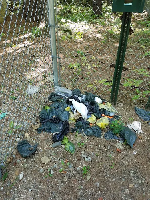 Waterboro Dog Park 8