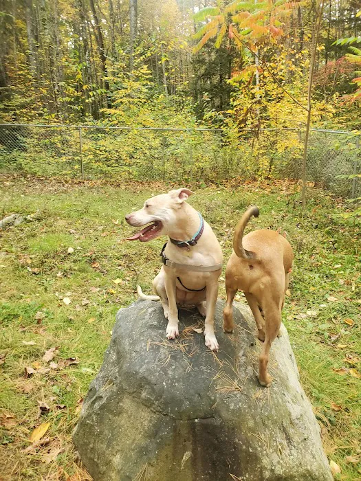 Waterboro Dog Park 3