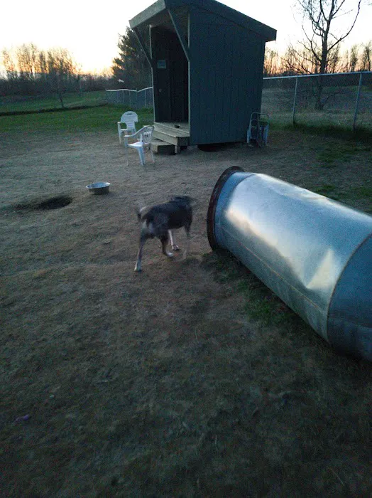 Biddeford Dog Park at Rotary Park 3