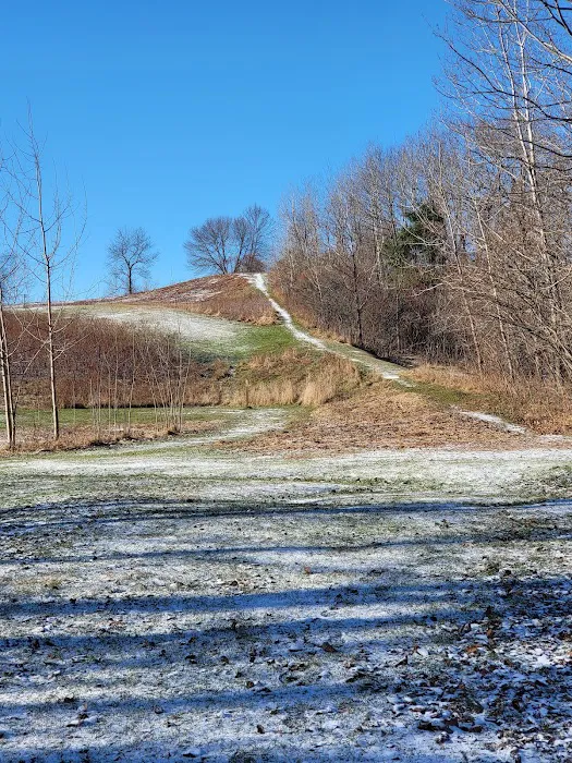 Biddeford Dog Park at Rotary Park 6