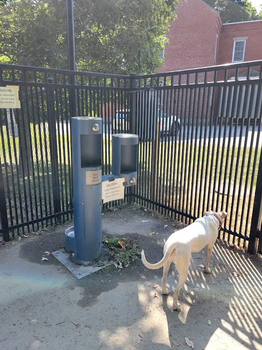 Saco Dog Park 6