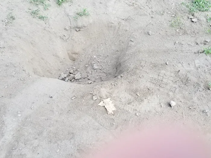 Saco Dog Park 4