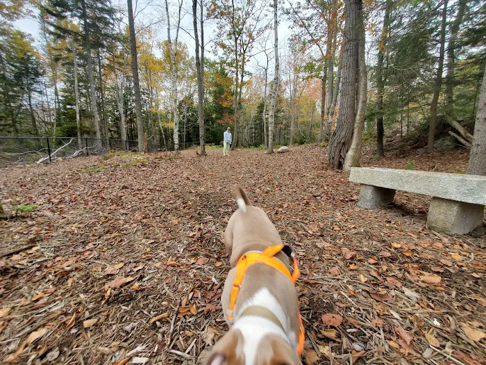 Meadow Woods Preserve Off Leash Dog Area 3