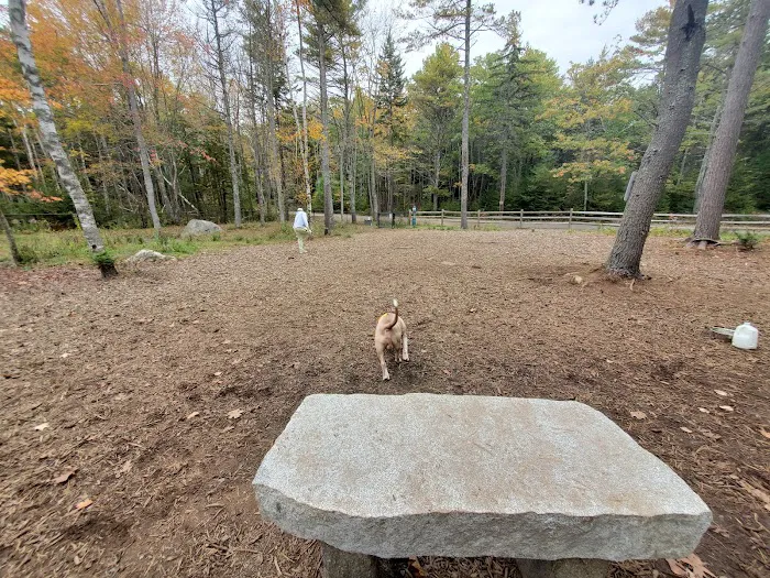 Meadow Woods Preserve Off Leash Dog Area 1