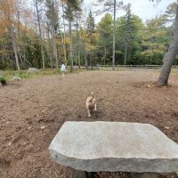 Meadow Woods Preserve Off Leash Dog Area ico