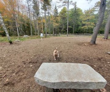 Meadow Woods Preserve Off Leash Dog Area