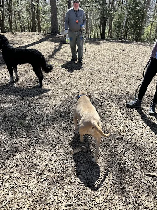Meadow Woods Preserve Off Leash Dog Area 6