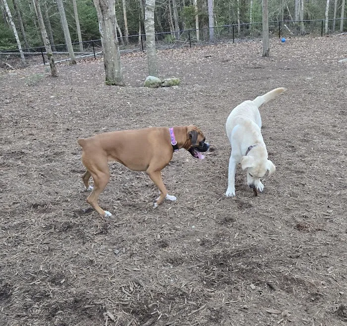 Kennebunkport Dog Park 3