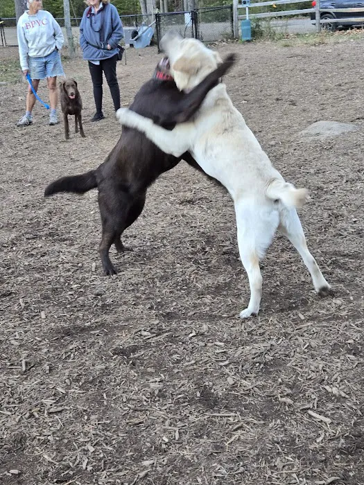 Kennebunkport Dog Park 9