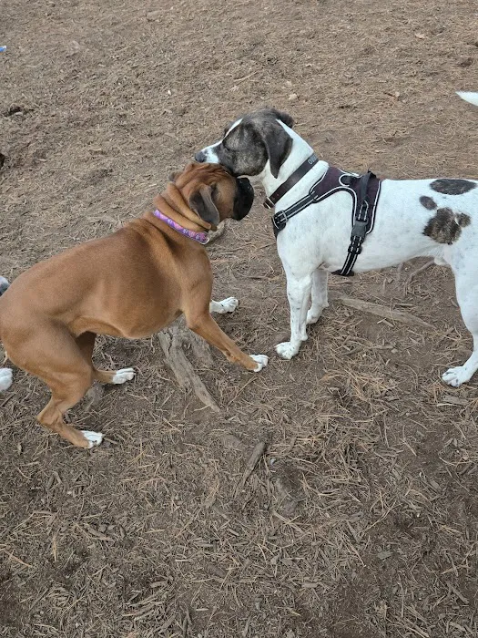 Kennebunkport Dog Park 1