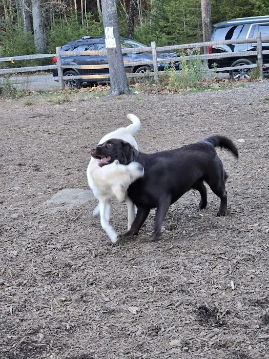 Kennebunkport Dog Park 5
