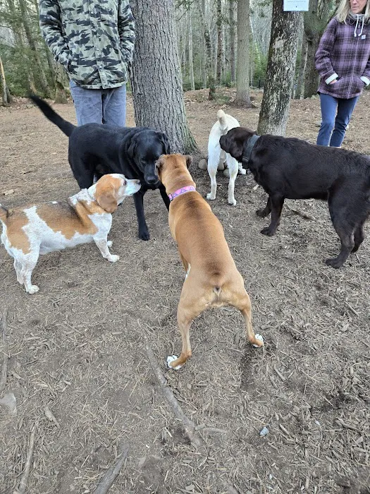 Kennebunkport Dog Park 2