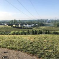 Port Potomac Dog Park ico
