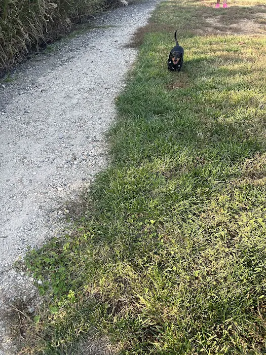 Port Potomac Dog Park 10