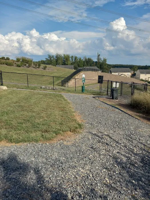 Port Potomac Dog Park 5