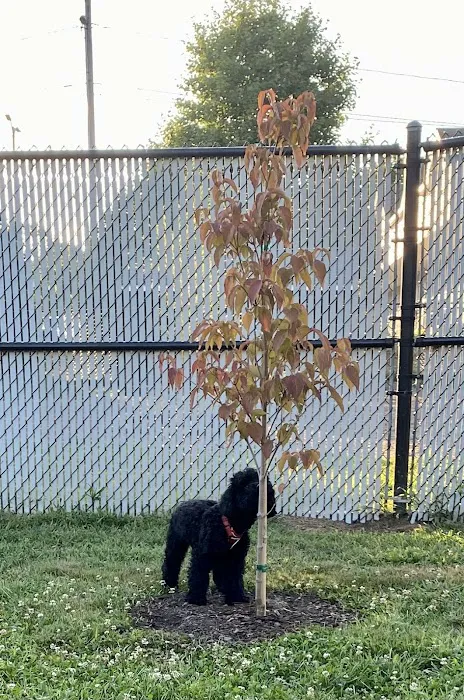 K9 Veteran's Memorial Dog Park 3