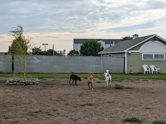K9 Veteran's Memorial Dog Park 1