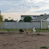 K9 Veteran's Memorial Dog Park ico