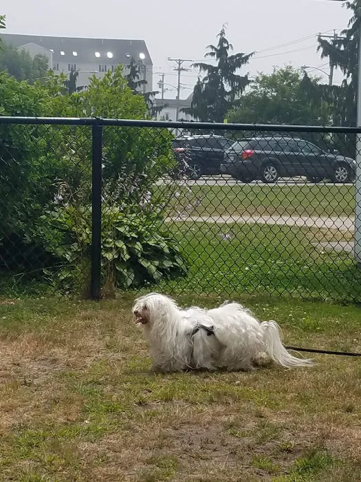 K9 Veteran's Memorial Dog Park 5