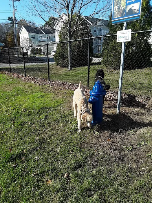 K9 Veteran's Memorial Dog Park 9