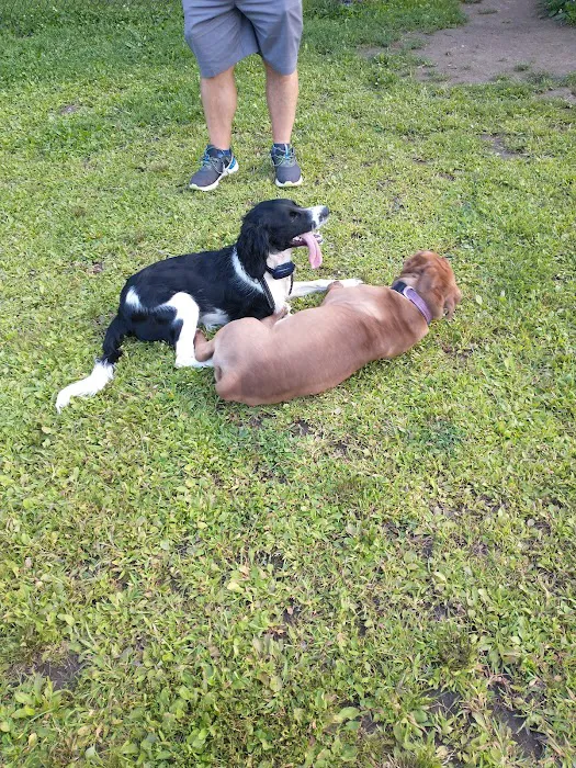 Westbrook Dog Park 10