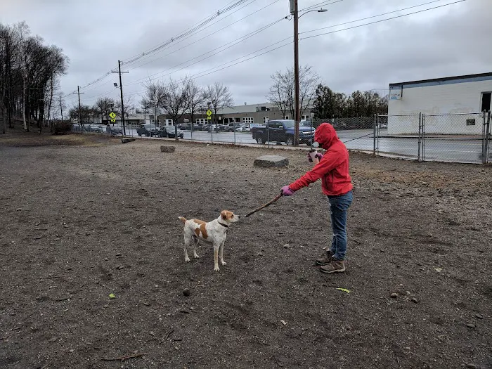 Valley Street Dog Park 9