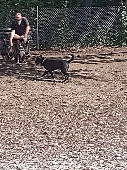 Valley Street Dog Park 4