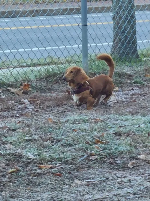 Valley Street Dog Park 7
