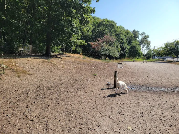 Valley Street Dog Park 3