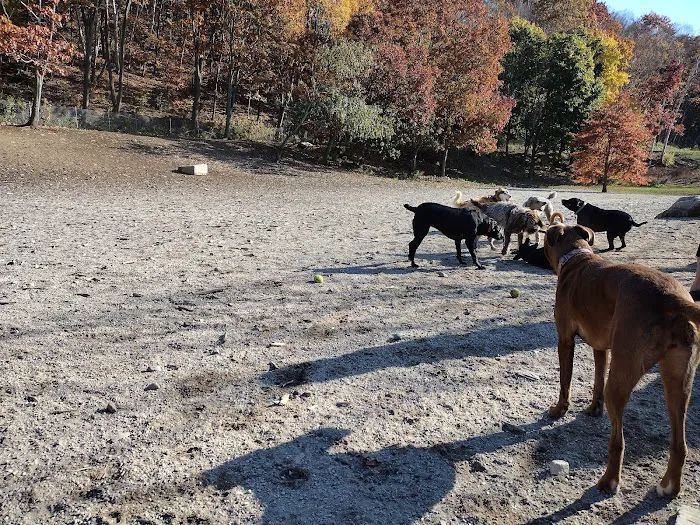 Valley Street Dog Park 2