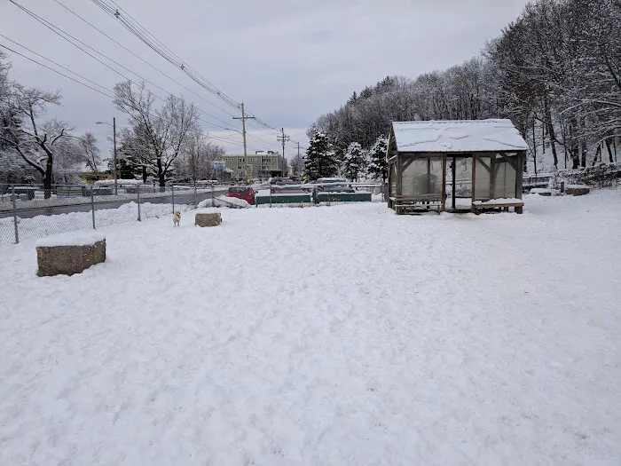 Valley Street Dog Park 6