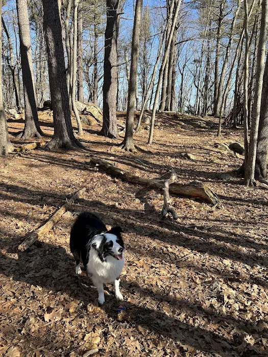 Quarry Run Dog Park 3