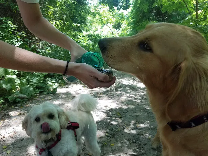 Quarry Run Dog Park 5