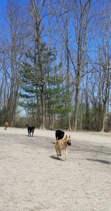 Quarry Run Dog Park 6