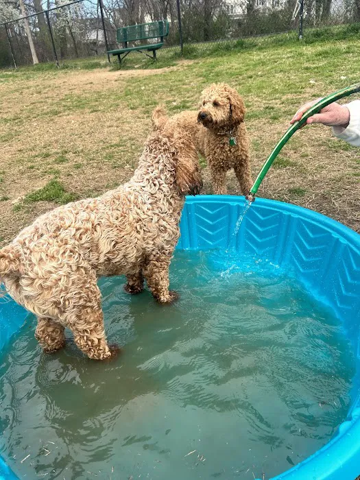 Fredericksburg Dog Park 5
