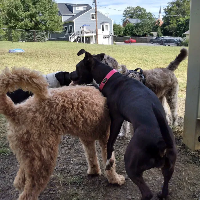 Fredericksburg Dog Park 10