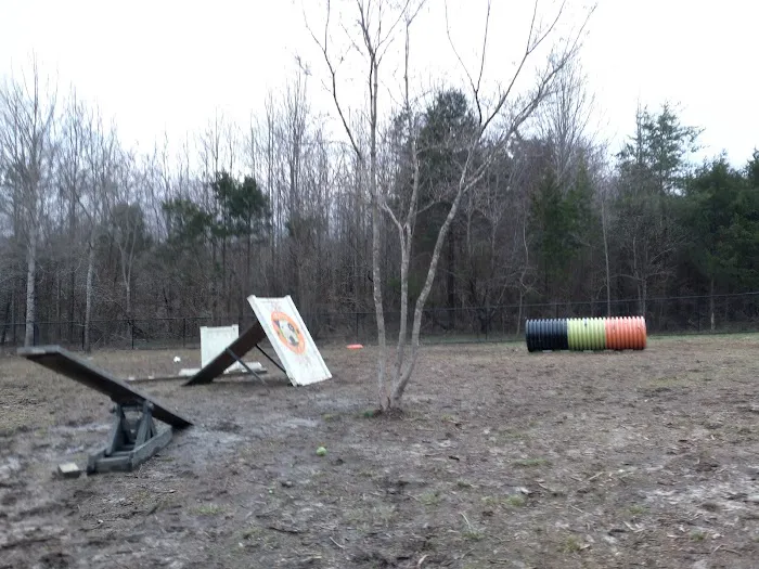 Spotsy Dog Park Inc. 1